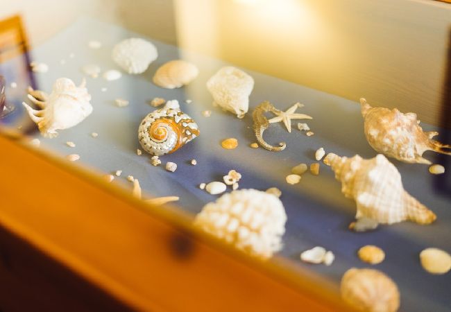 Apartment in Consolação - Best Houses 18 - Typical Portuguese Apartament  Apartment in Consolação - Best Houses 18 - Typical Portuguese Apartament