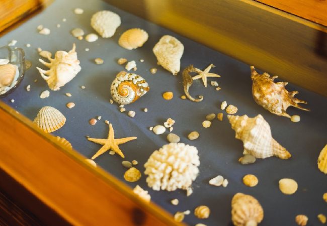 Apartamento en Consolação - Best Houses 18 - Typical Portuguese Apartament  Apartamento en Consolação - Best Houses 18 - Typical Portuguese Apartament